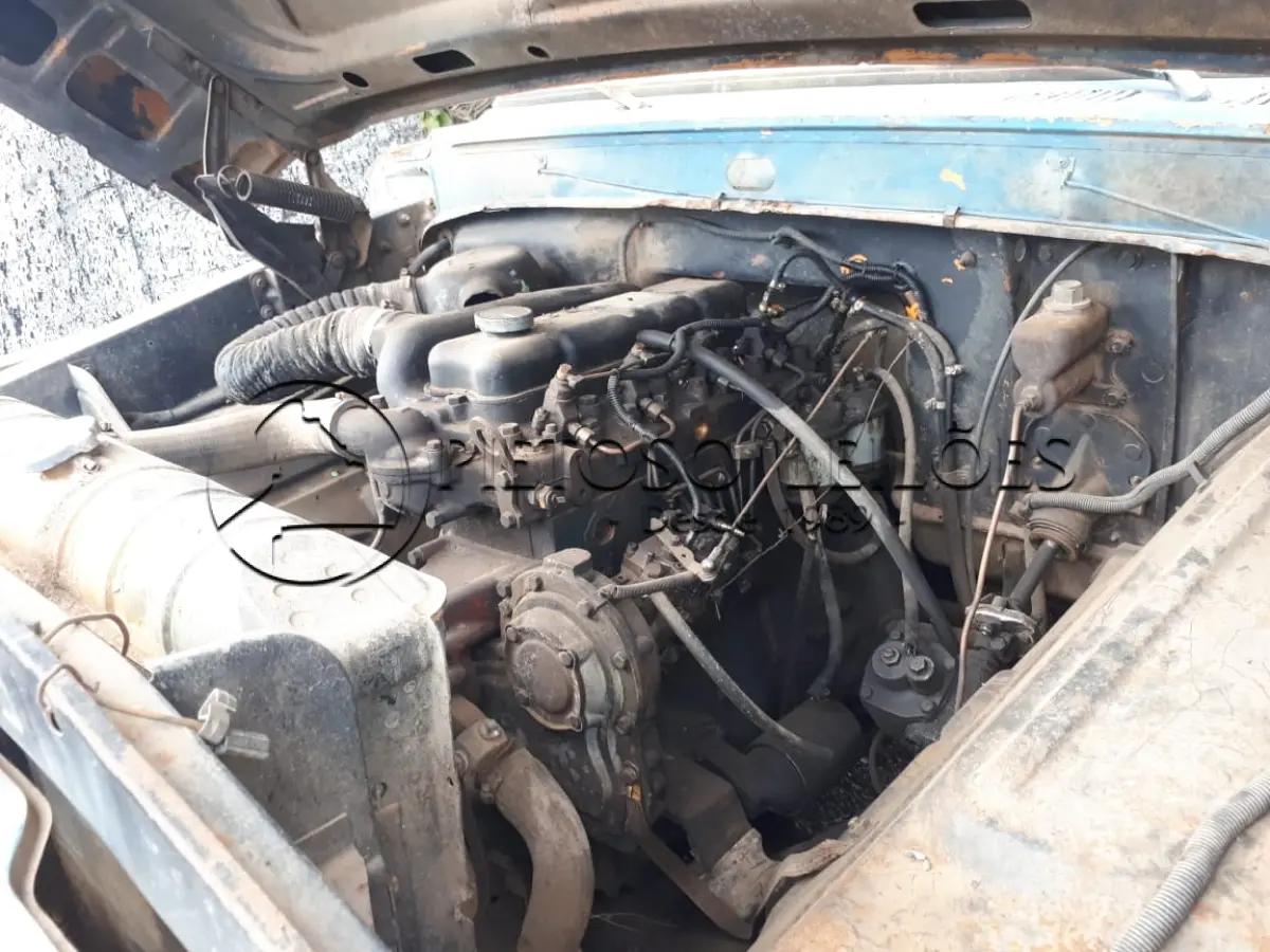 LOTE 057 - FORD/F100, ANO/MODELO: 1974/1974, PLACA: IIG2180, 