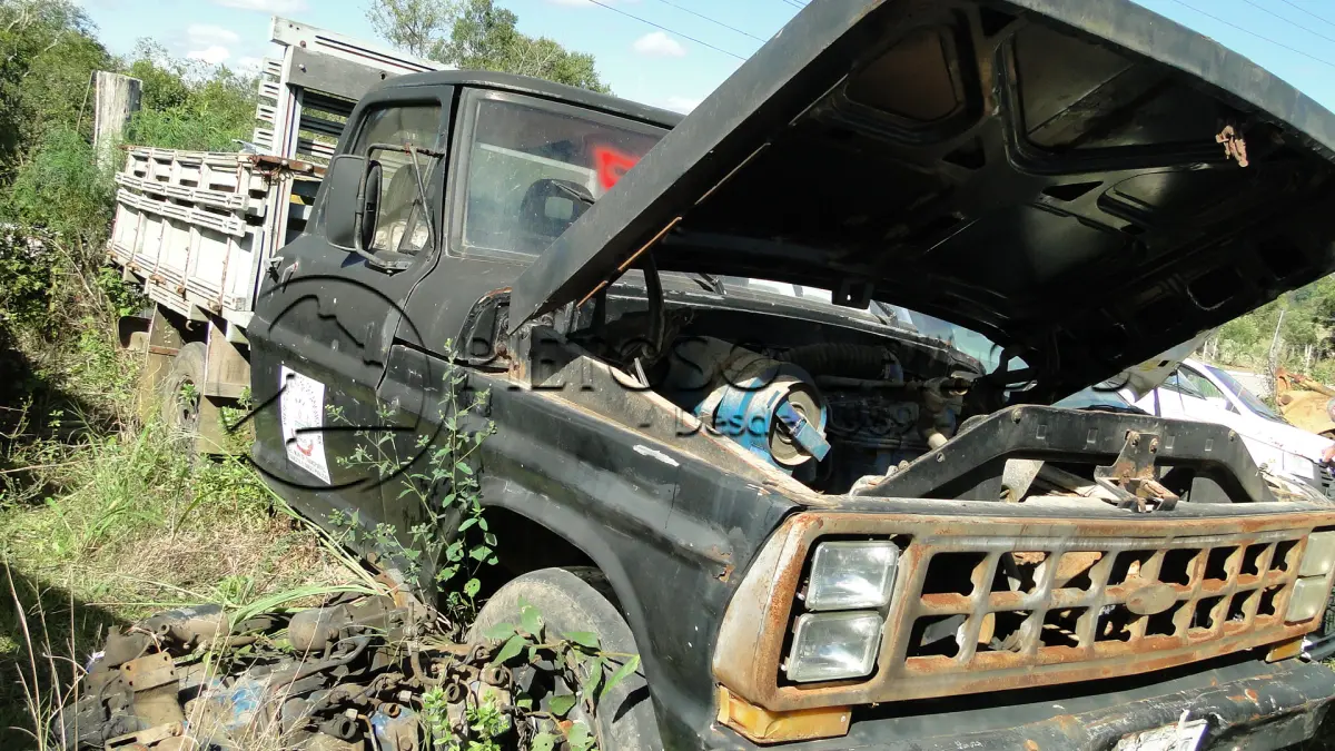 LOTE 056 - FORD/F1000, ANO/MODELO: 1982/1983, PLACA: IHO8090,