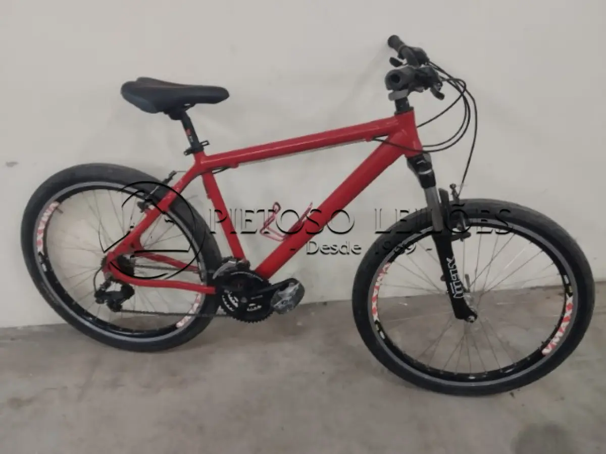 LOTE 007 - BICICLETA MARCA VACINE, ARO 26