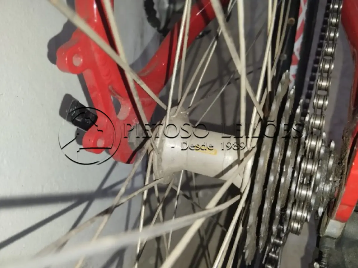 LOTE 007 - BICICLETA MARCA VACINE, ARO 26