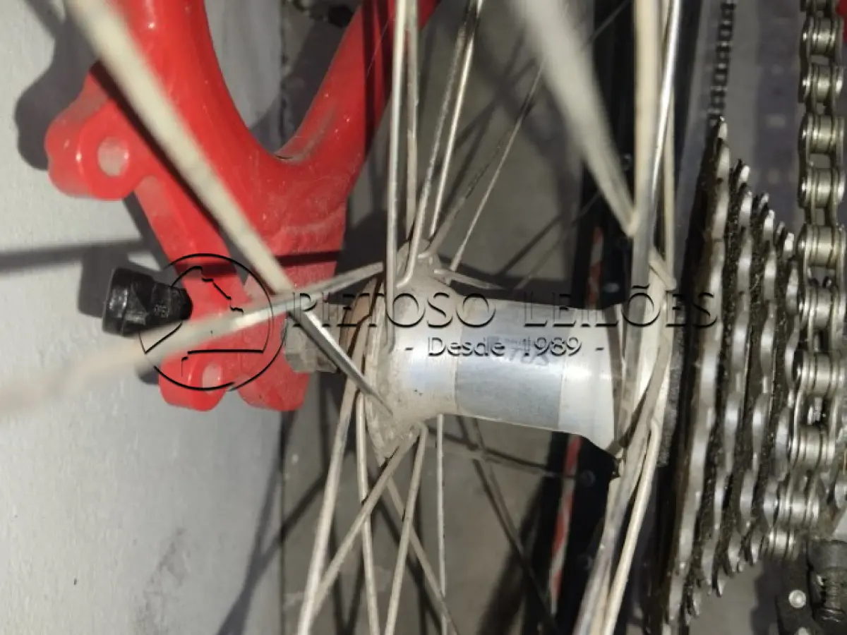LOTE 007 - BICICLETA MARCA VACINE, ARO 26