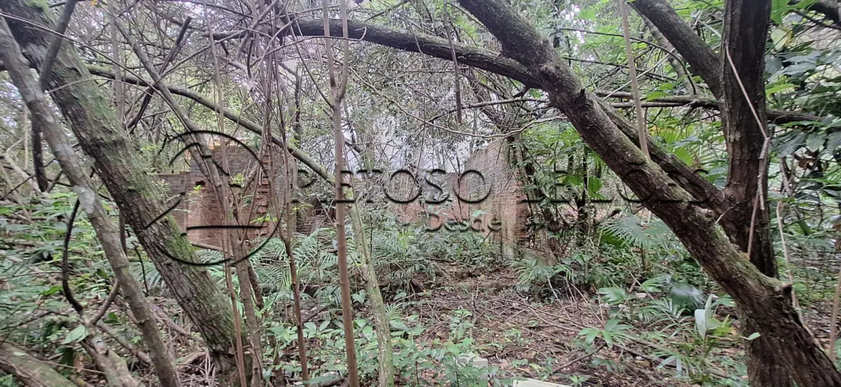 LOTE 002 - PORTO ALEGRE/RS - A CASA Nº 193 DA RUA DR. MÁRIO TOTTA, NO BAIRRO TRISTEZA