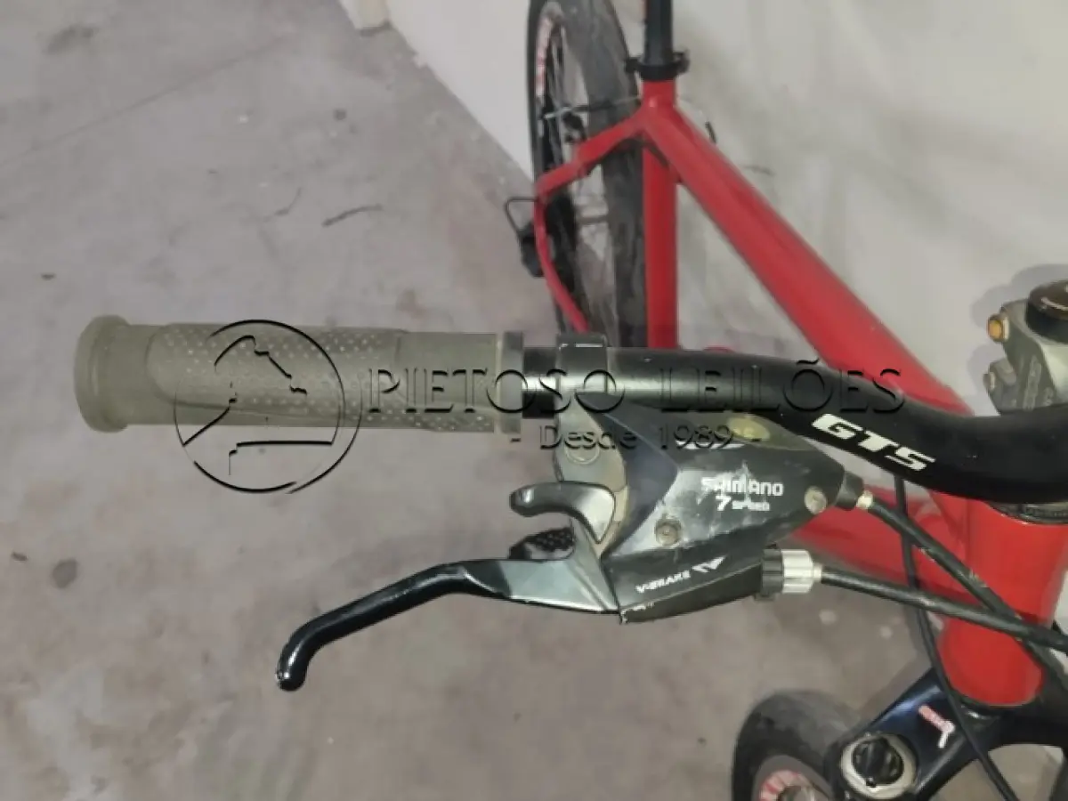 LOTE 007 - BICICLETA MARCA VACINE, ARO 26