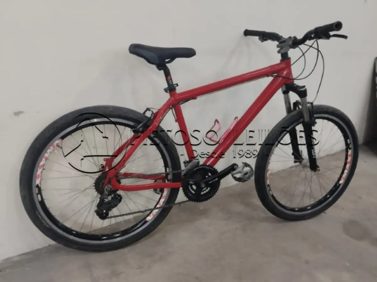 LOTE 007 - BICICLETA MARCA VACINE, ARO 26