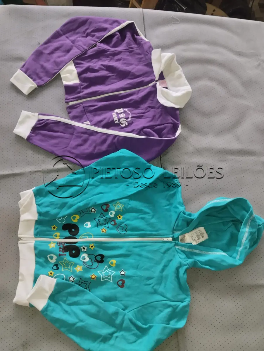 LOTE 059 - LOTE COMPOSTO POR CAMISETAS E MOLETONS