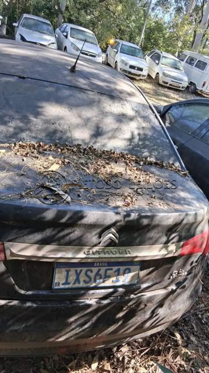 LOTE 020 - AUTOMÓVEL I/CITROEN C4L THP A ORIG, ANO/MODELO: 2016/2017, PLACA: IXS6F19,