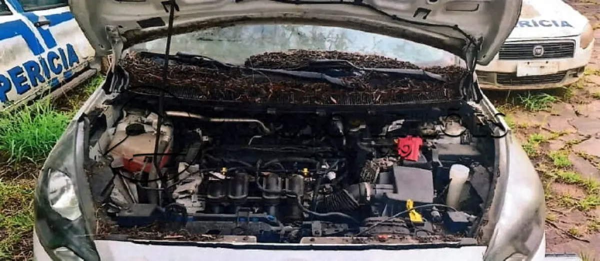 LOTE 013 - AUTOMÓVEL FORD/KA SE 1.5 HA B, ANO/MODELO: 2016/2017, PLACA: IXR0883