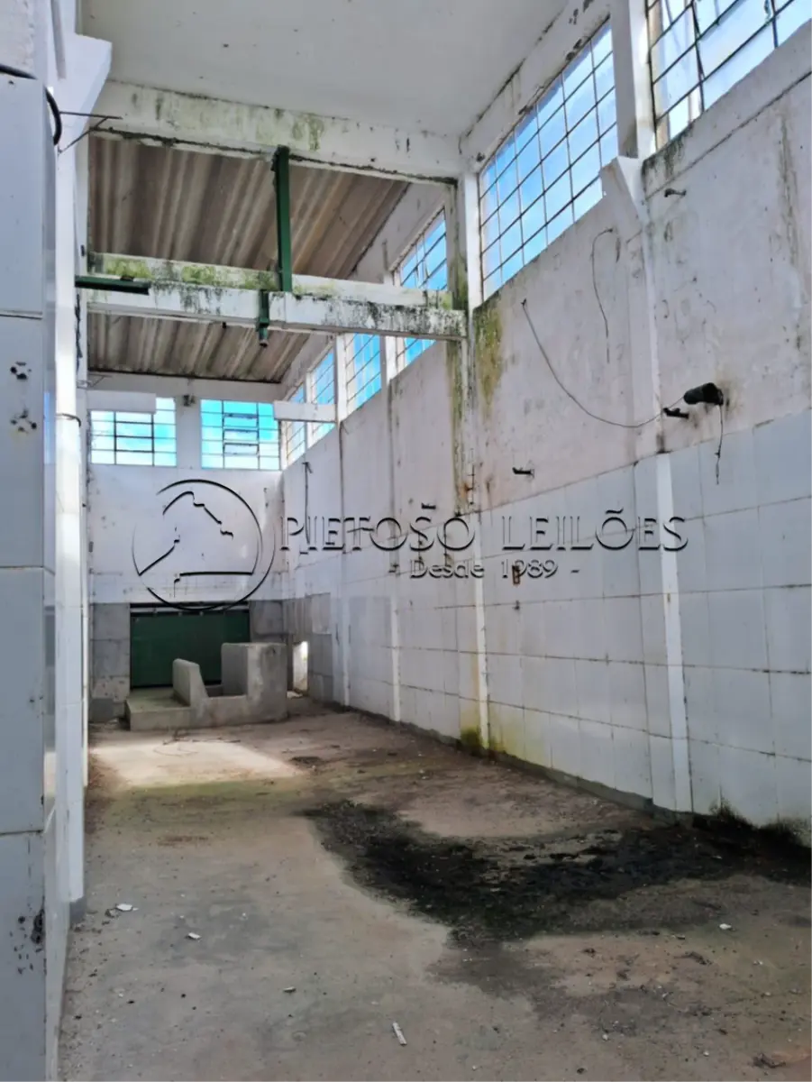 LOTE 001 - PELOTAS/RS - IMÓVEL INDUSTRIAL - FRIGORÍFICO - ESTRADA DO SALSO