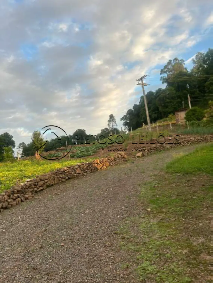 LOTE 100 - ENCANTADO/RS - ÁREA DE TERRA RURAL COM 37.125,00M² E BENFEITORIAS - LINHA SÃO LUIZ