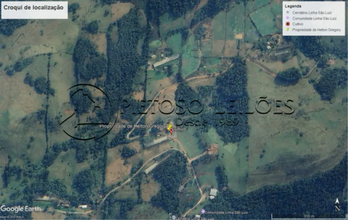 LOTE 100 - ENCANTADO/RS - ÁREA DE TERRA RURAL COM 37.125,00M² E BENFEITORIAS - LINHA SÃO LUIZ