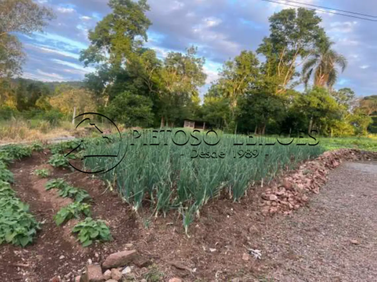 LOTE 100 - ENCANTADO/RS - ÁREA DE TERRA RURAL COM 37.125,00M² E BENFEITORIAS - LINHA SÃO LUIZ