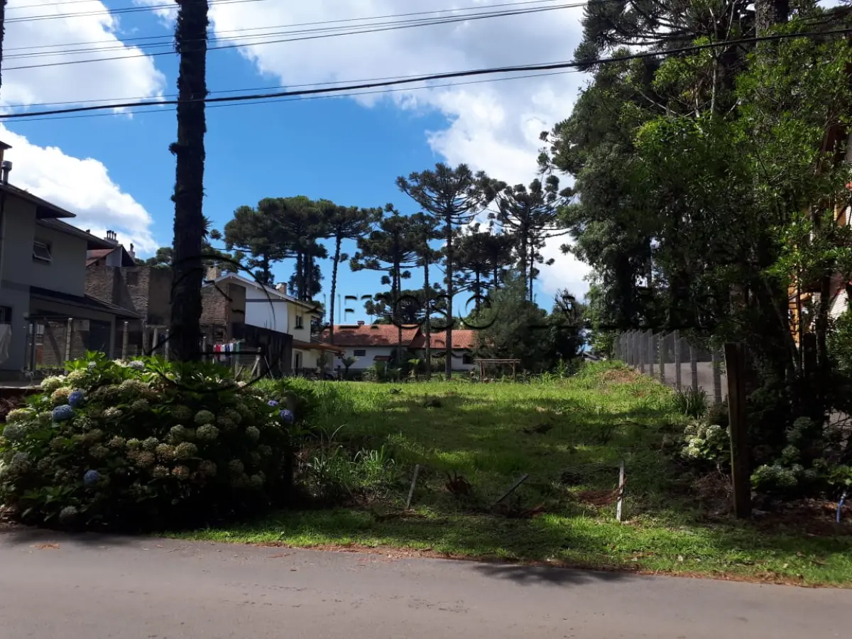 Casa no Ipê Amarelo (foto 7 de 9)