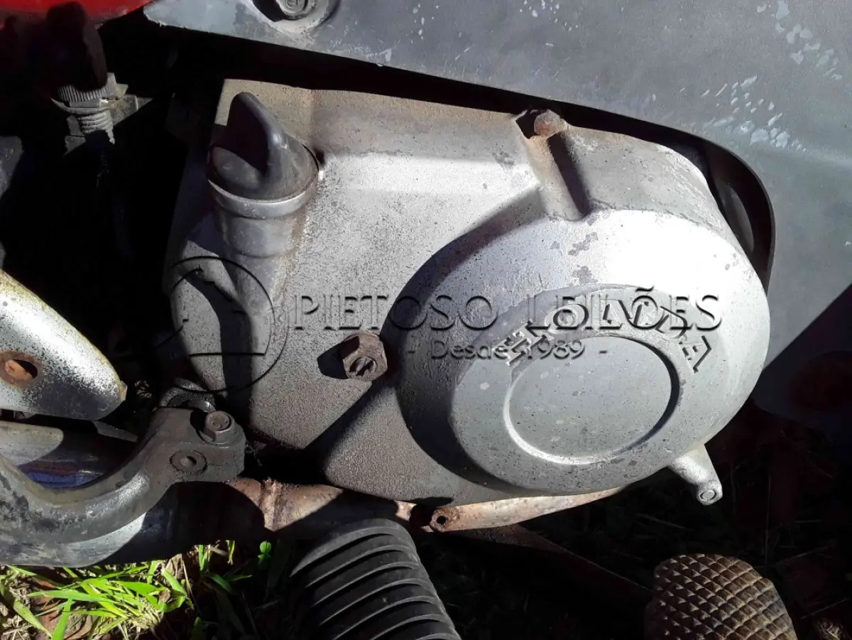 LOTE 0381