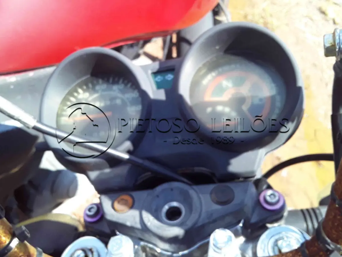 LOTE 0386