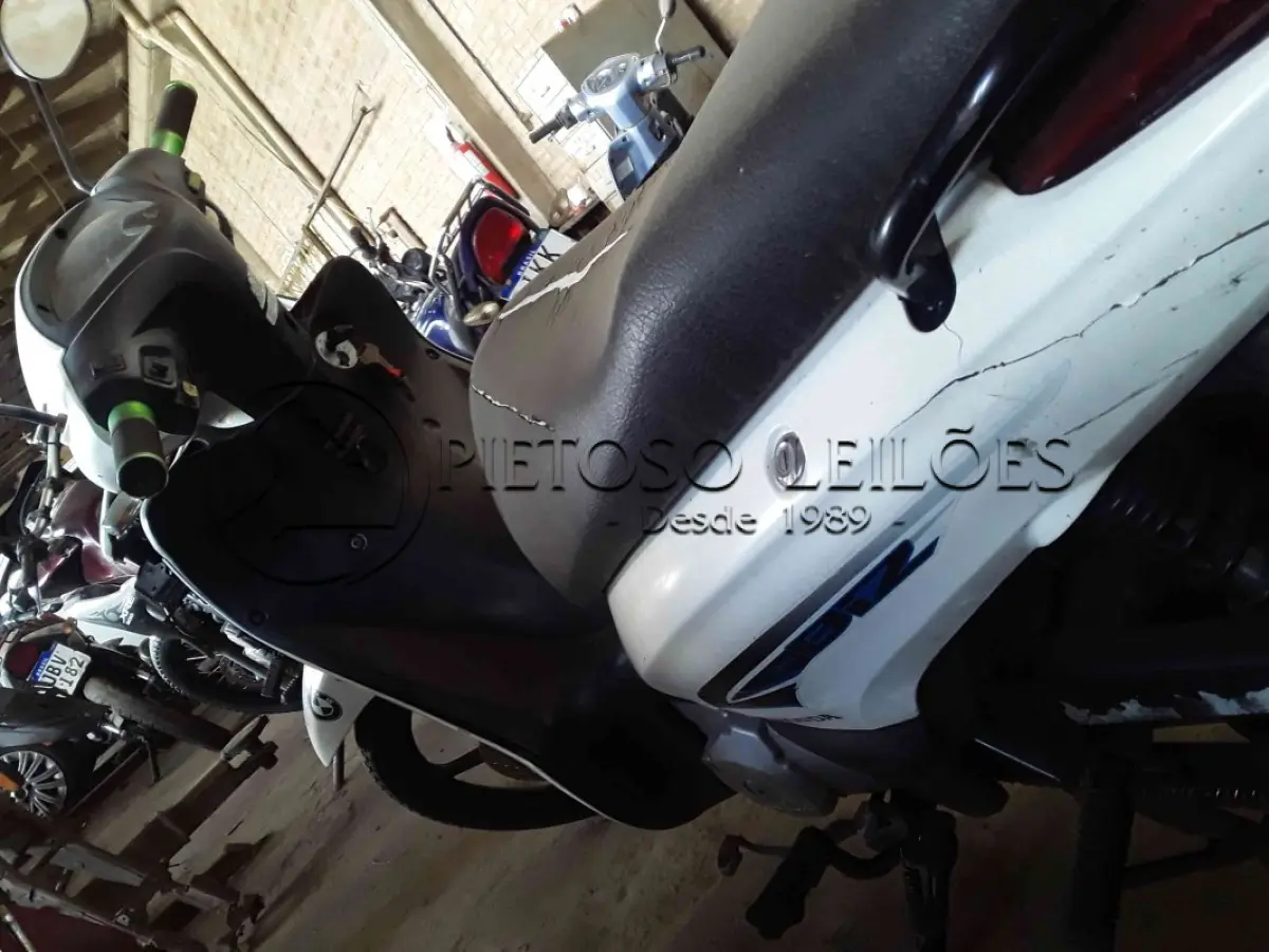 LOTE 0022