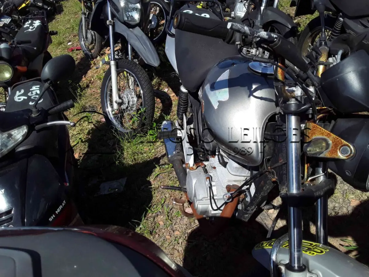 LOTE 0376