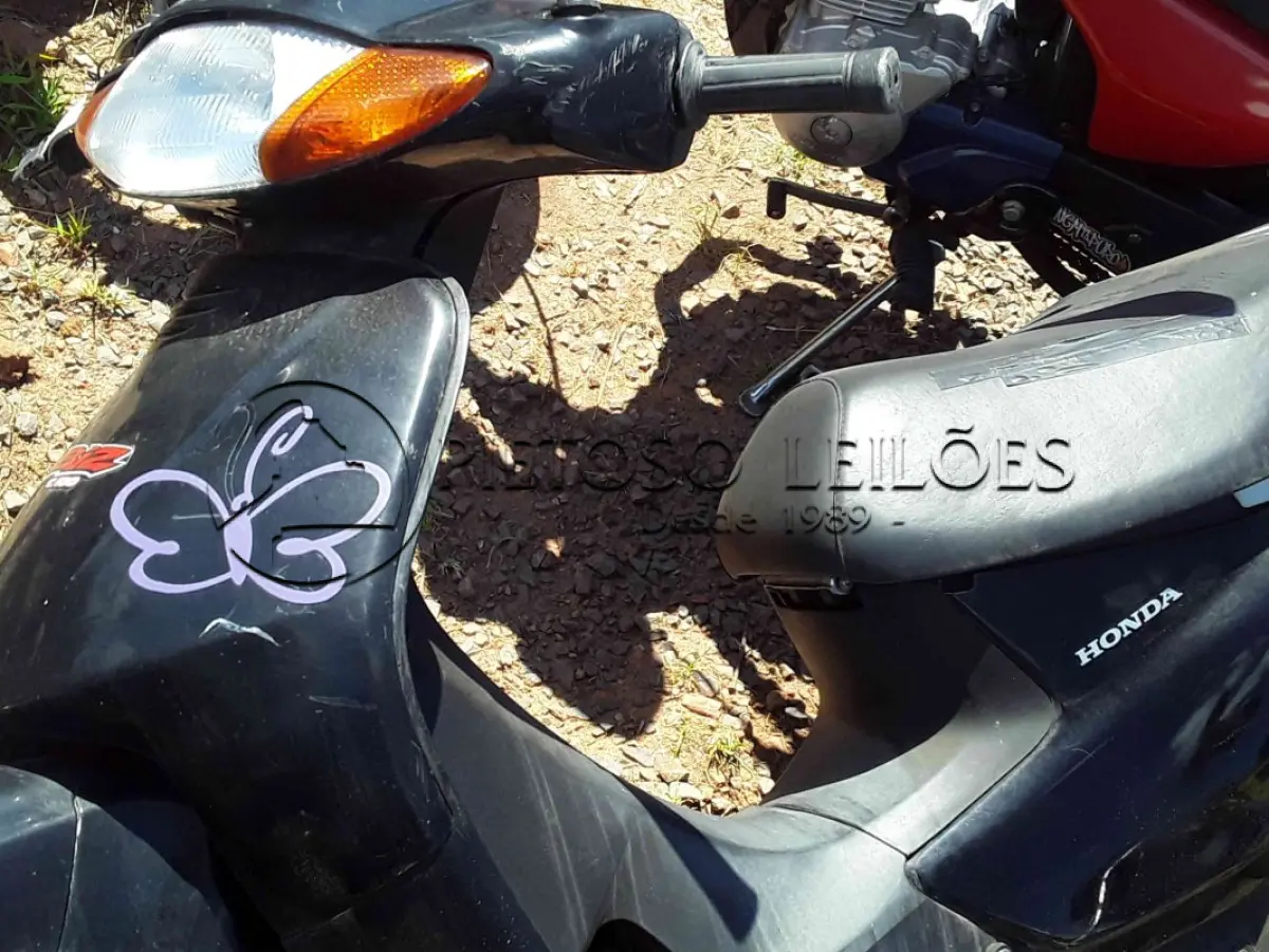 LOTE 0397