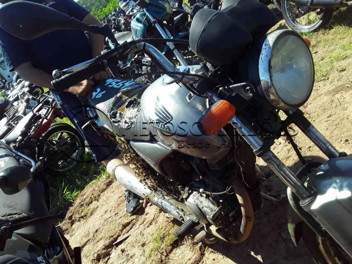 LOTE 0389