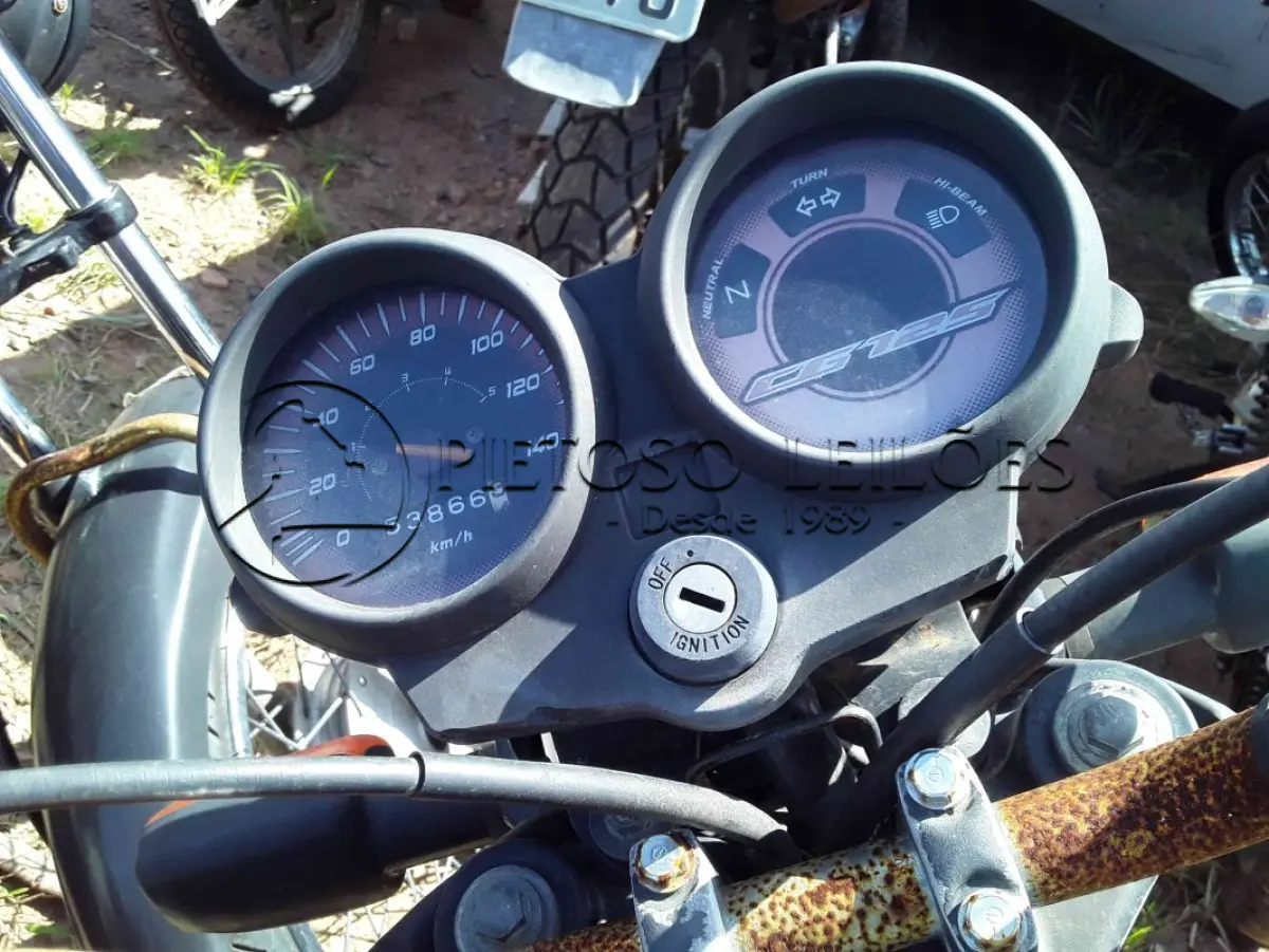 LOTE 0364