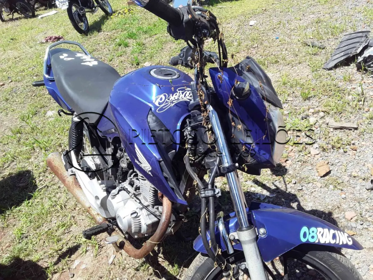 LOTE 0365