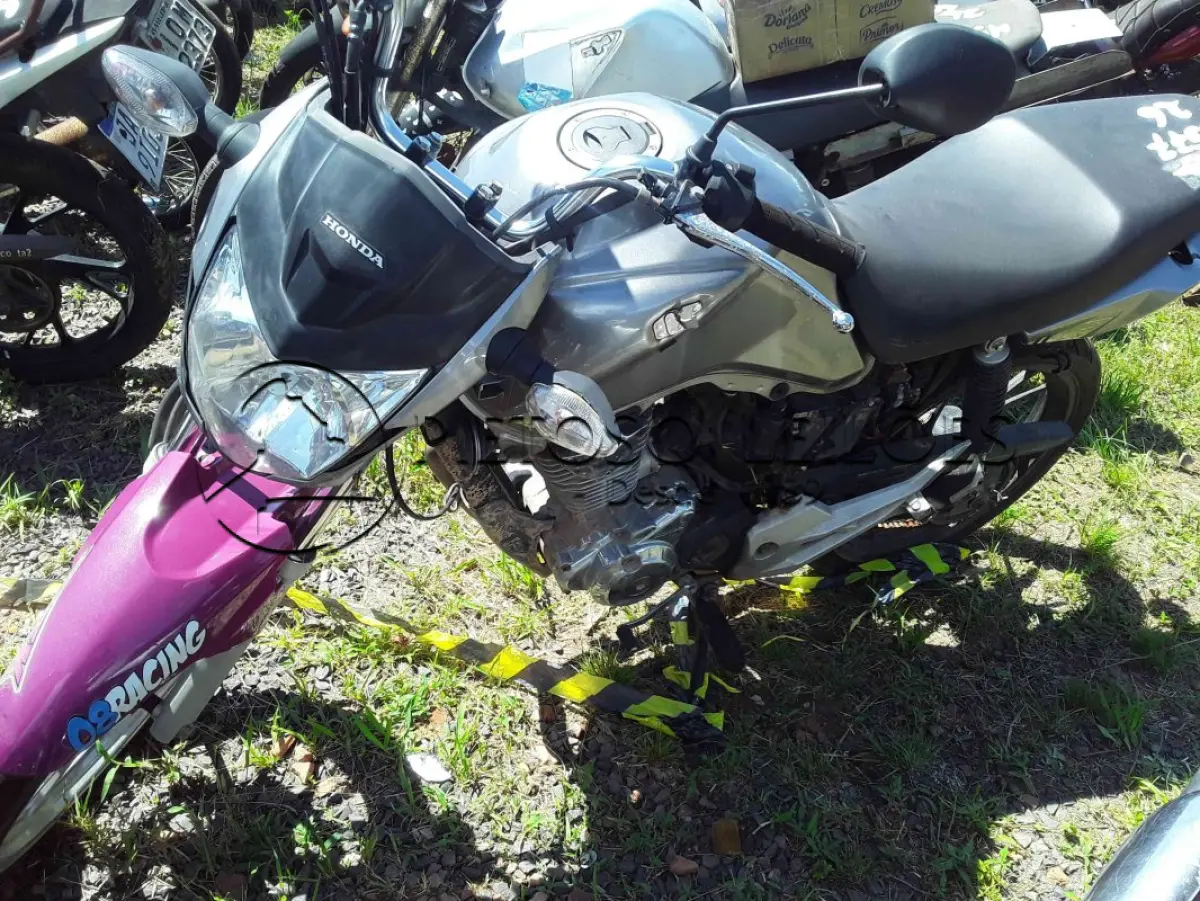 LOTE 0395