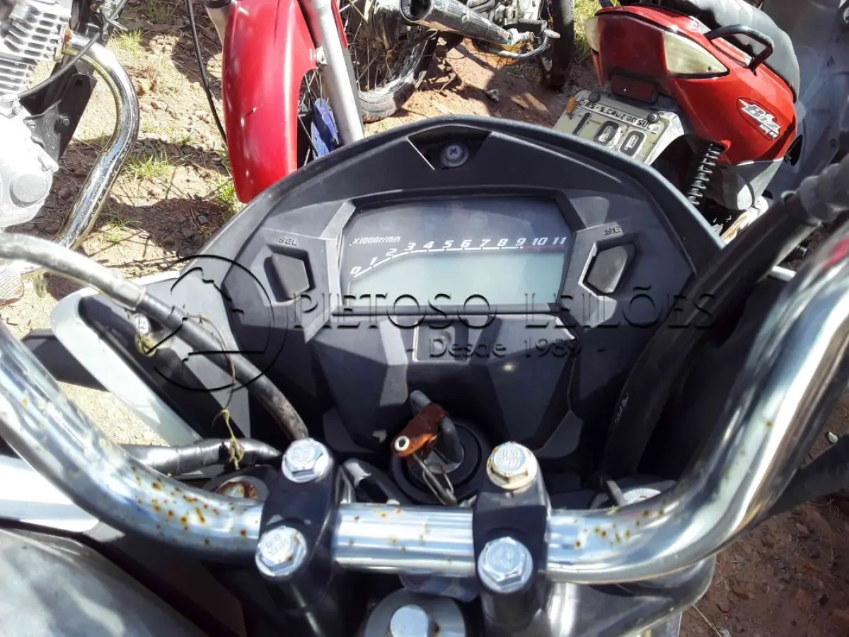 LOTE 0356