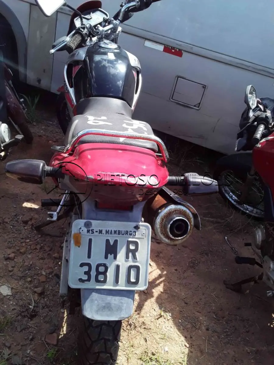 LOTE 0384