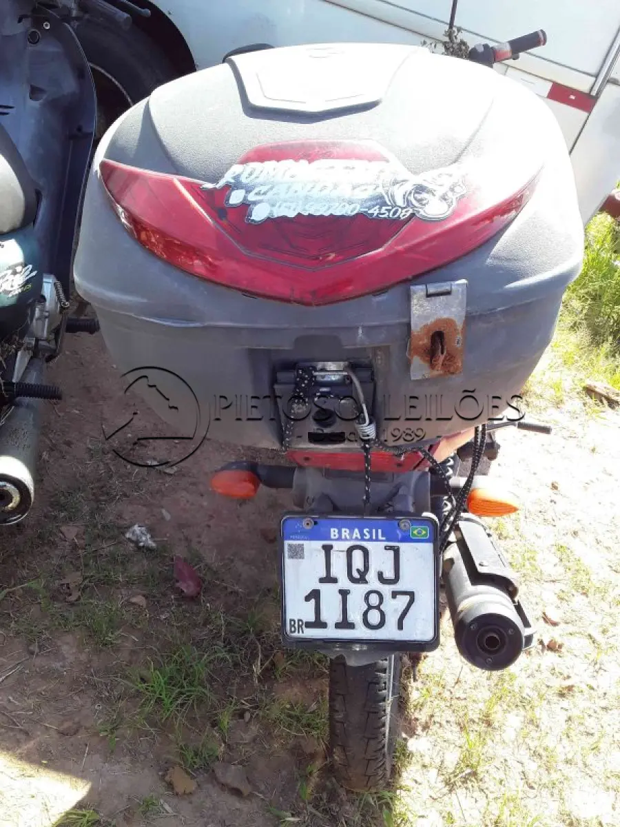 LOTE 0391