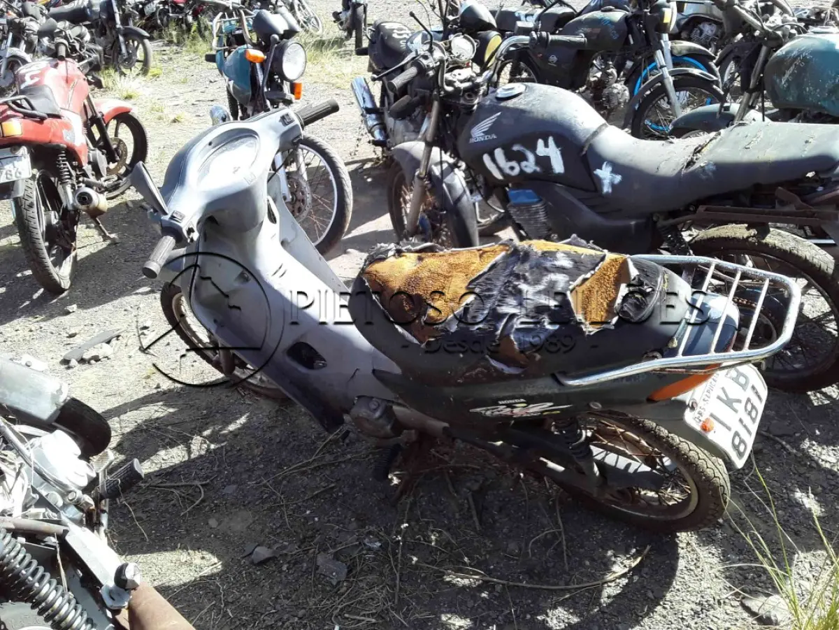 LOTE 0145