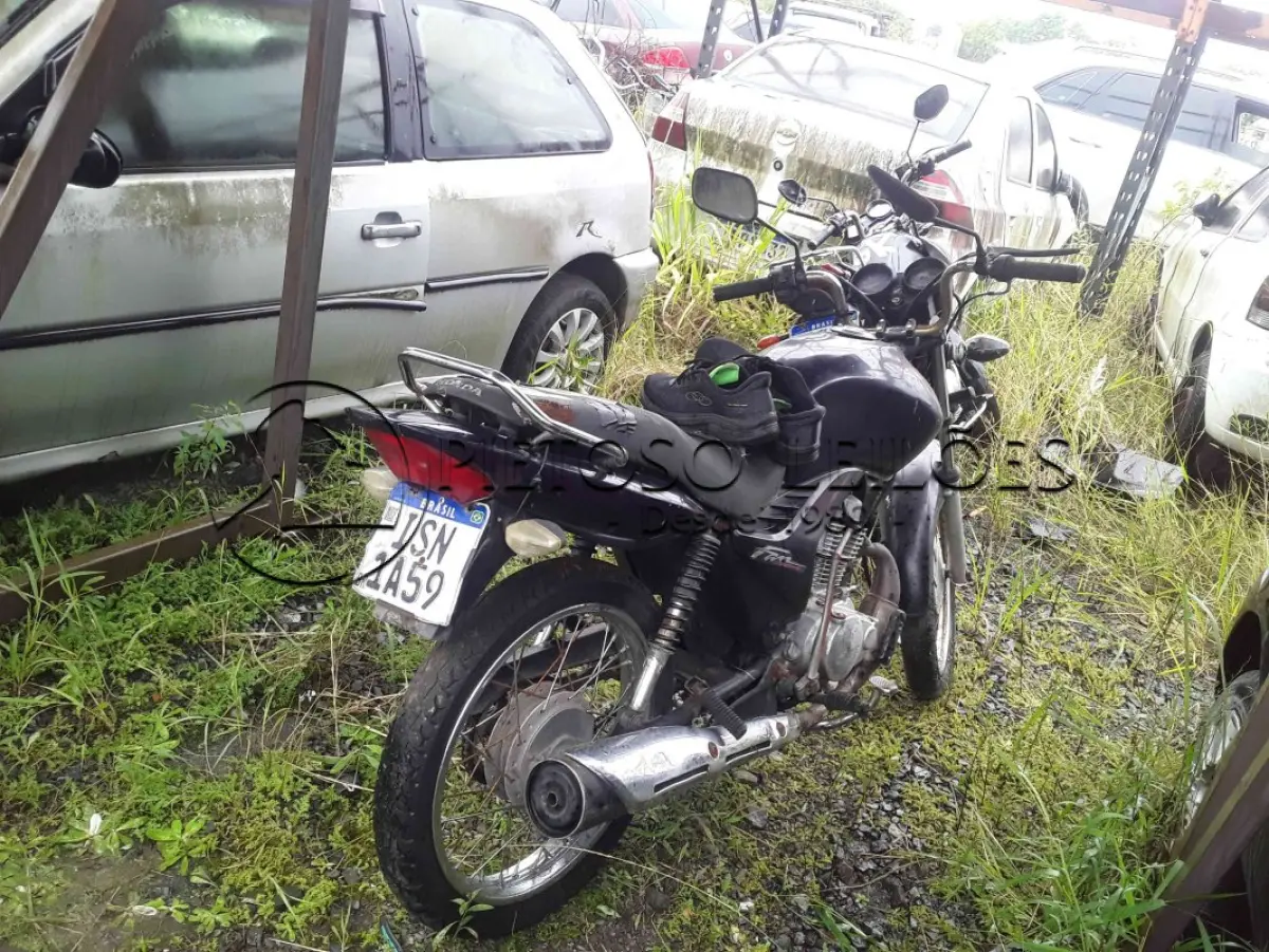 LOTE 0172