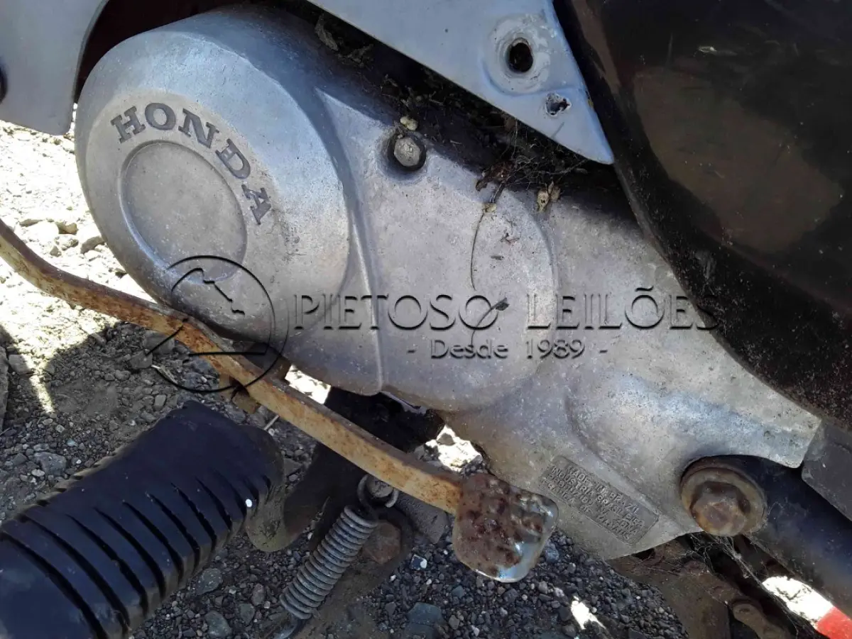 LOTE 0146