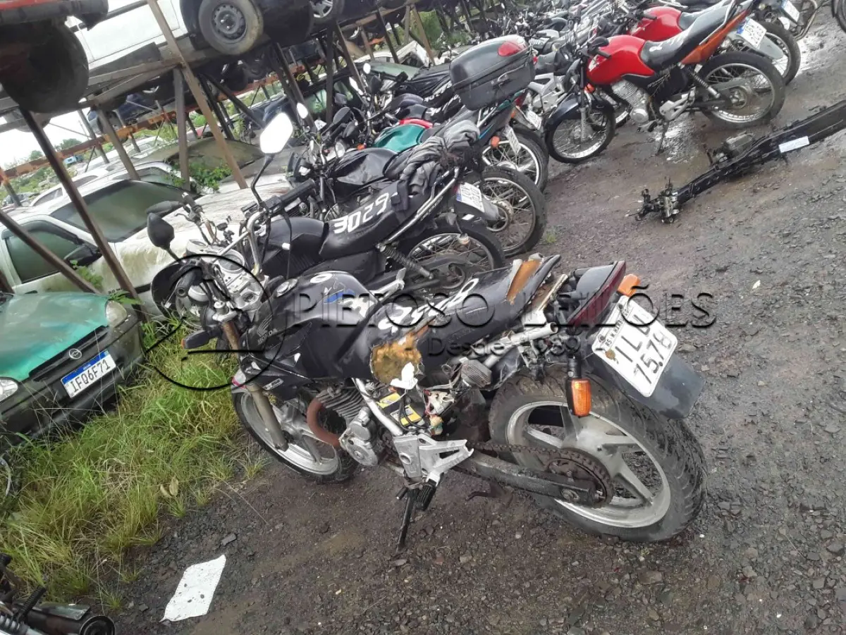 LOTE 0171