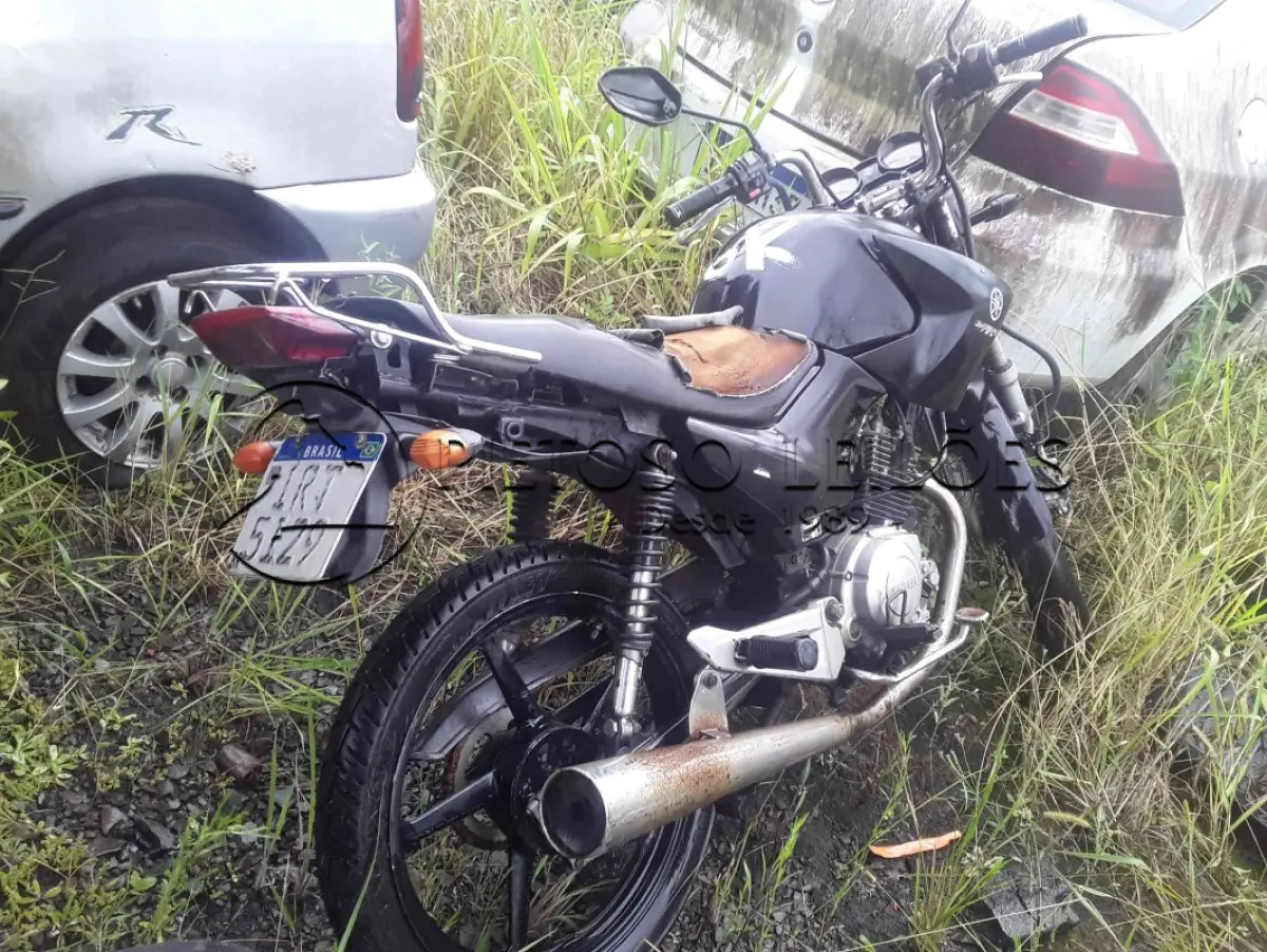 LOTE 0183