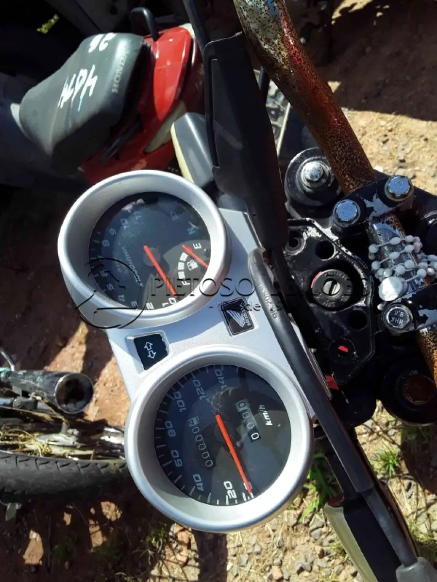 LOTE 0403