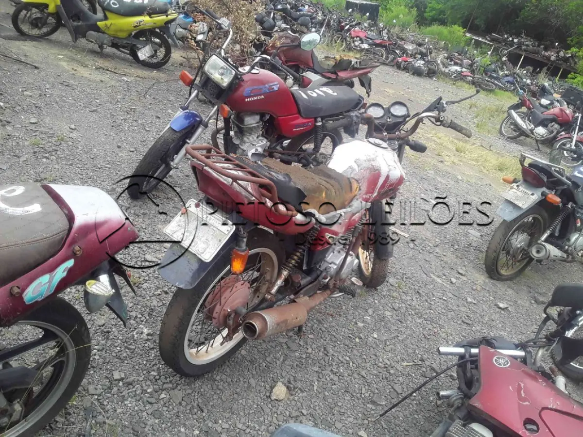 LOTE 0135