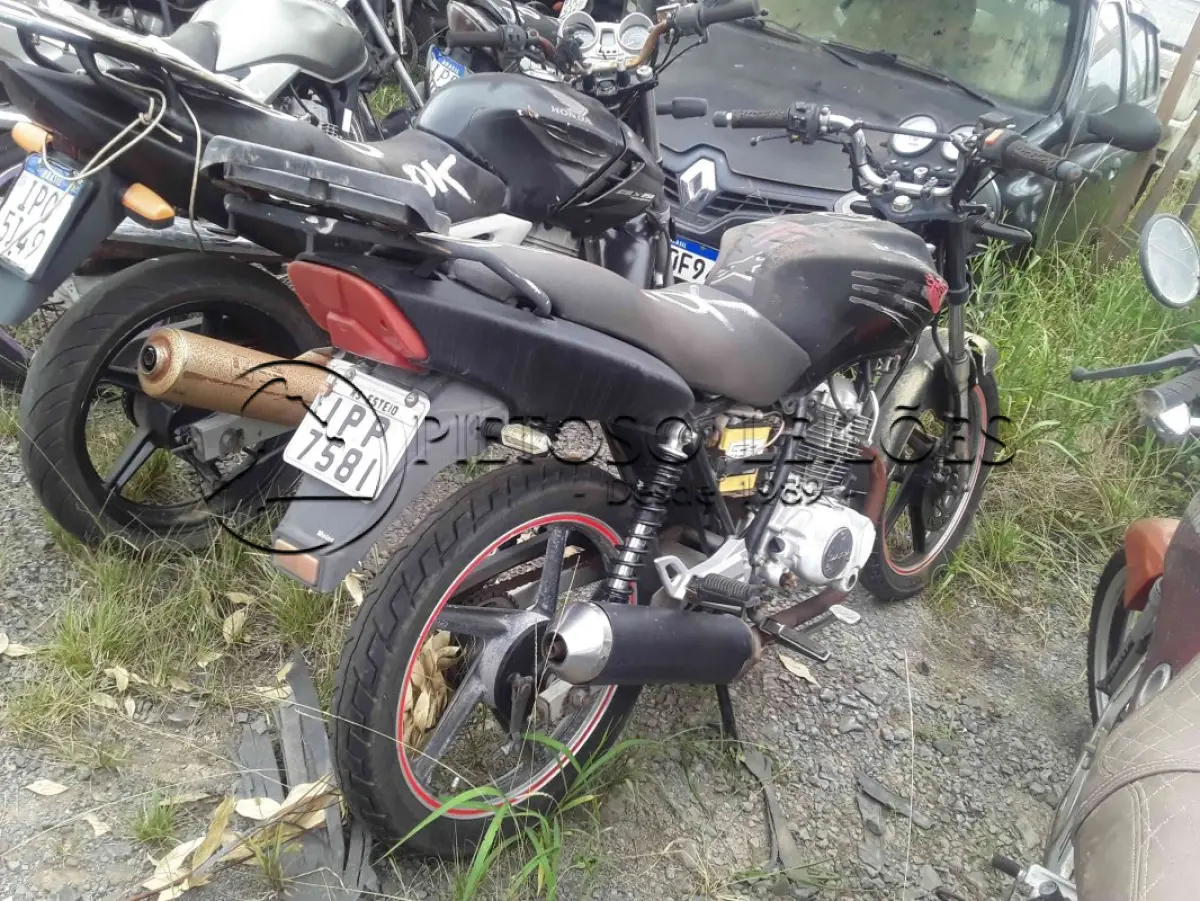 LOTE 0186