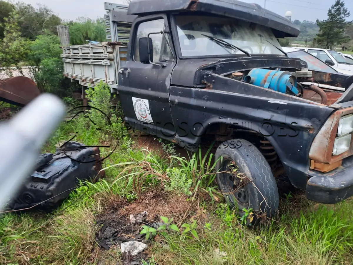 LOTE 056 - FORD/F1000, ANO/MODELO: 1982/1983, PLACA: IHO8090,