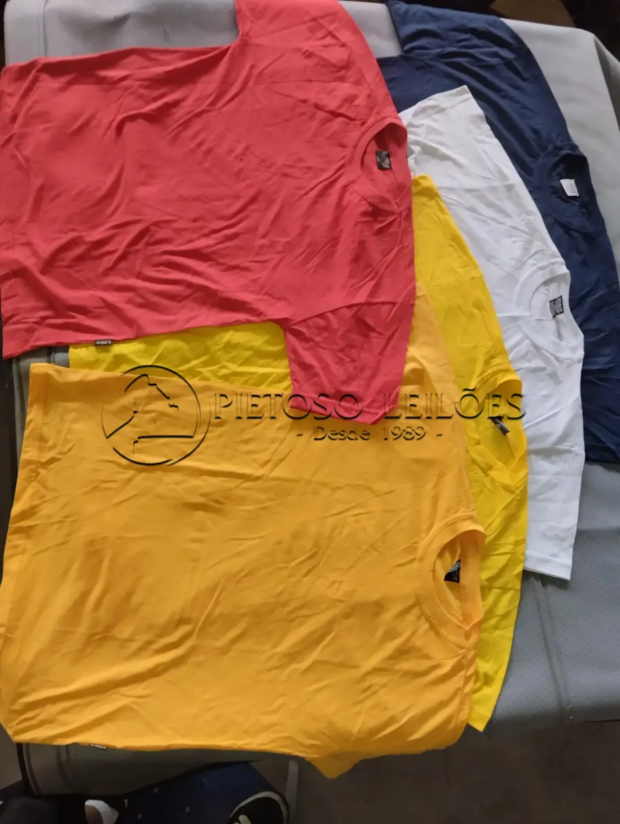 LOTE 059 - LOTE COMPOSTO POR CAMISETAS E MOLETONS