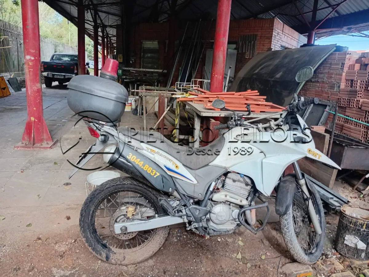 LOTE 004 - Tipo: Motocicleta, Marca/Mod.: HONDA/XRE 300, Ano/modelo: 2014/2015, Placa: IWC5544.