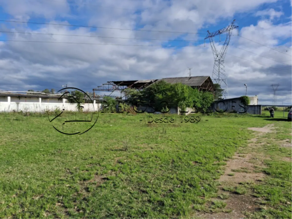 LOTE 001 - PELOTAS/RS - IMÓVEL INDUSTRIAL - FRIGORÍFICO - ESTRADA DO SALSO