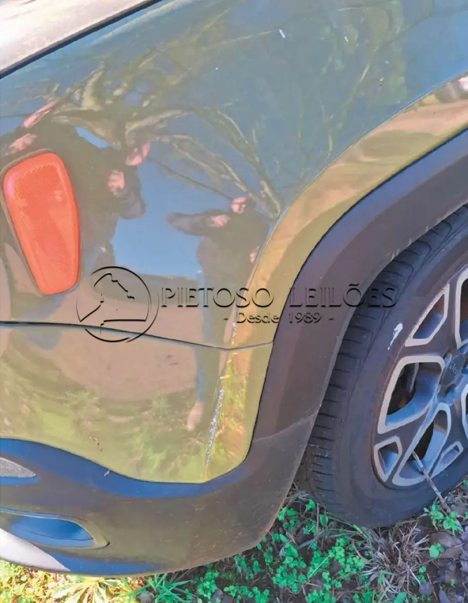 LOTE 001 - VEÍCULO JEEP/RENEGADE LNGTD AT, ANO/MODELO: 2015/2016, PLACAS: QHP8J54