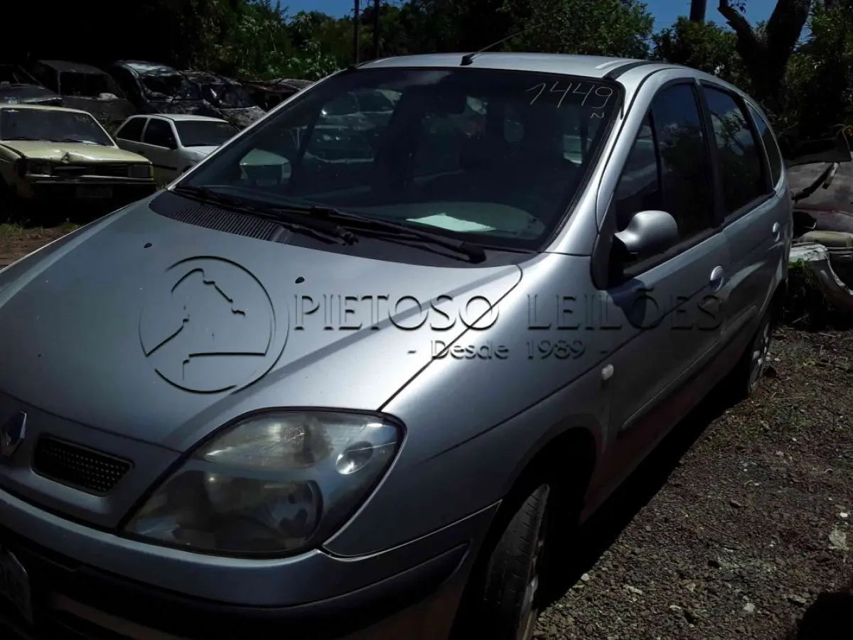 LOTE 0081