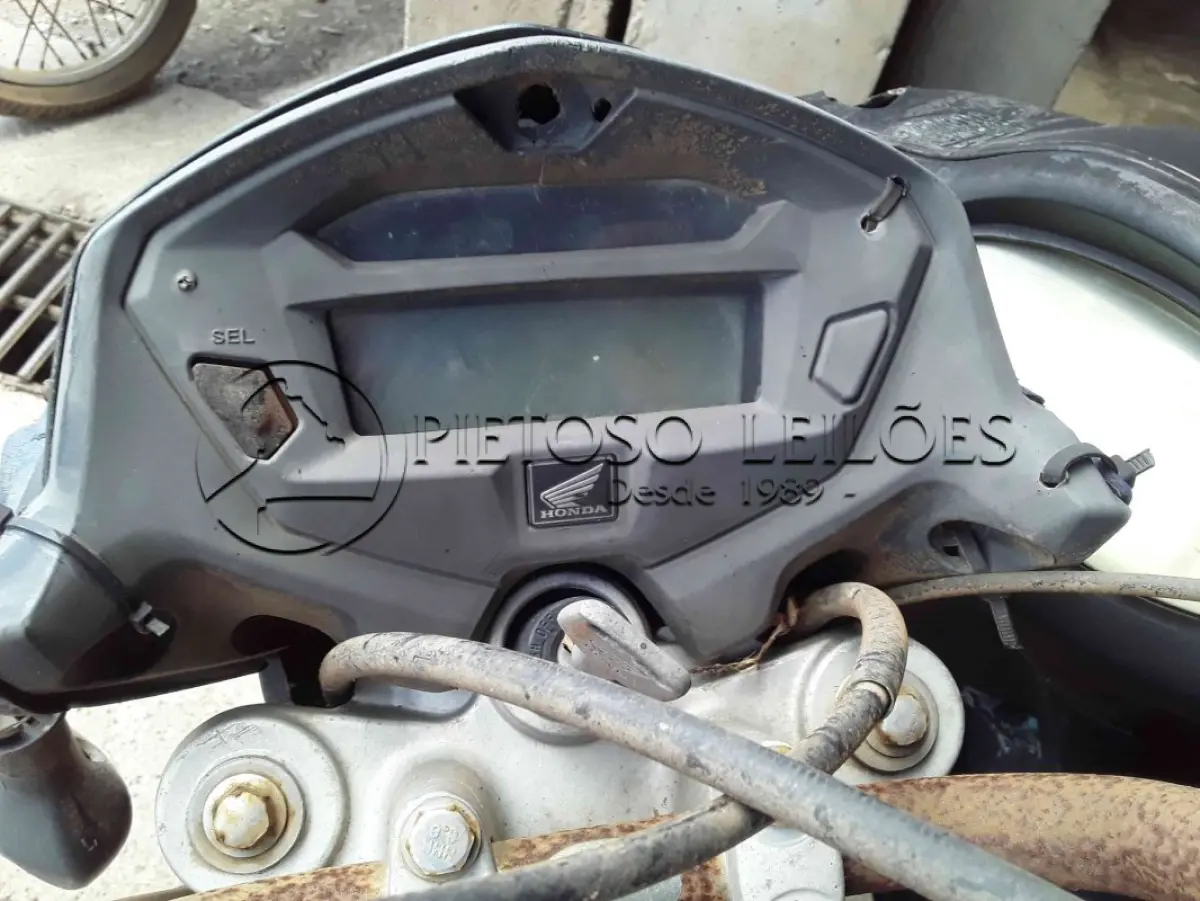 LOTE 0016