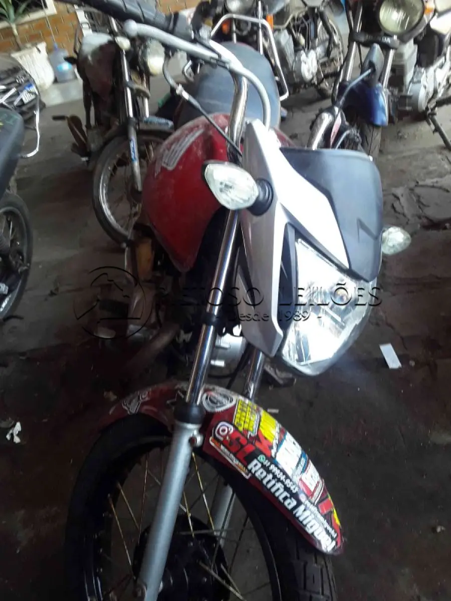 LOTE 0055