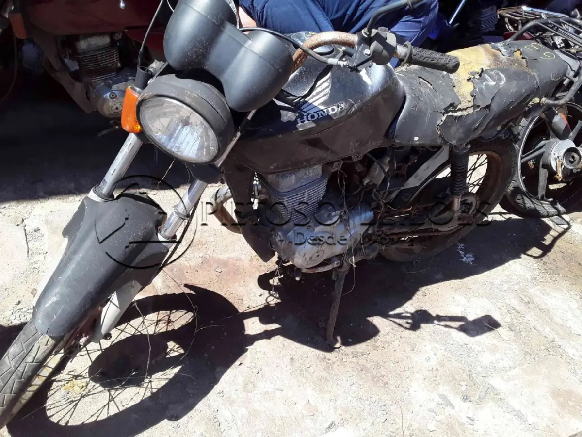 LOTE 0013