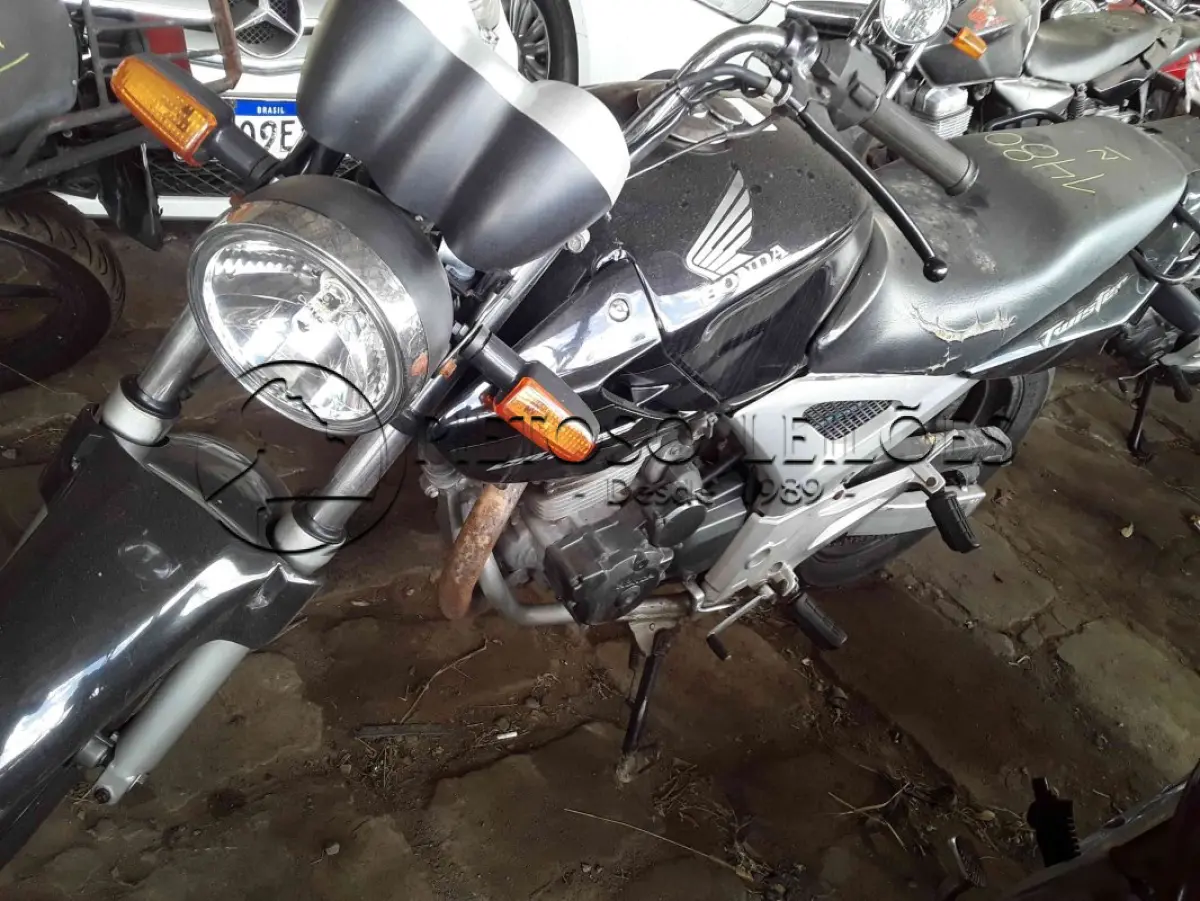 LOTE 0040