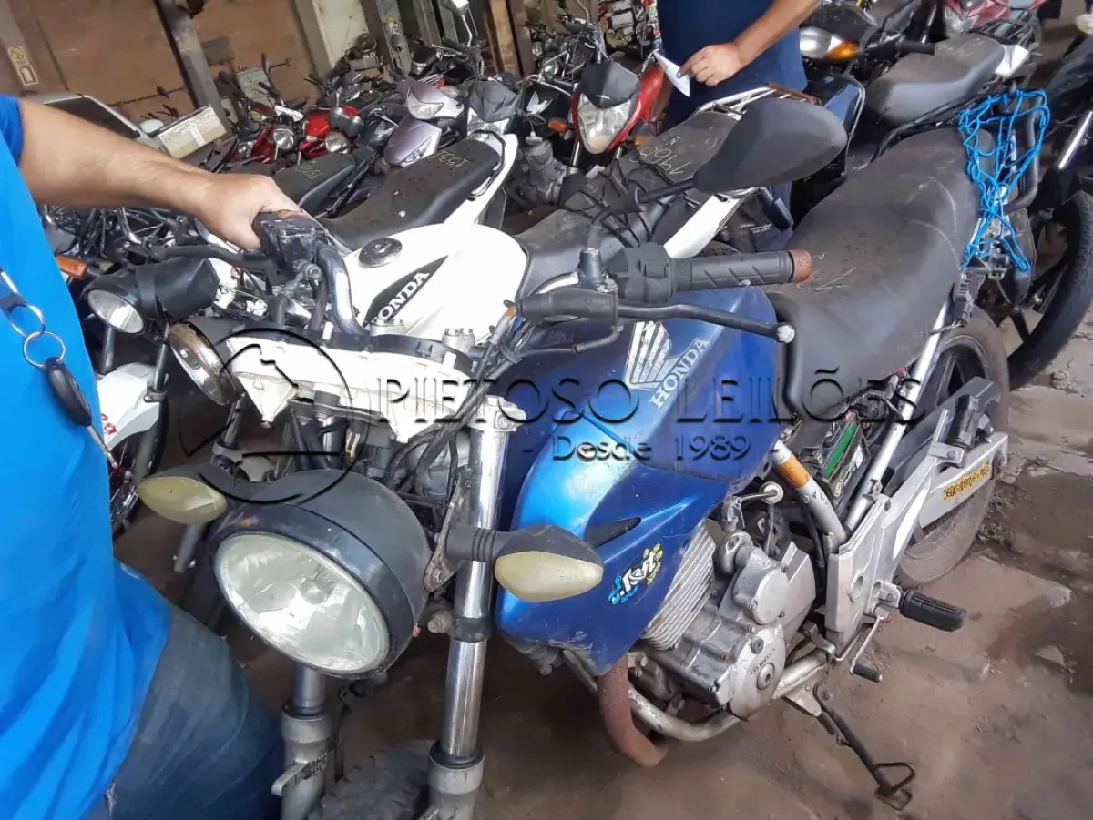 LOTE 0029