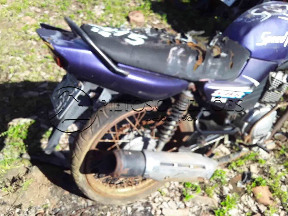 LOTE 0306