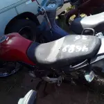 Foto 6