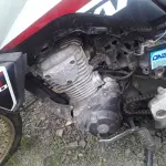 Foto 8